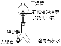 图片_x0020_2069381899