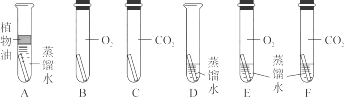 图片_x0020_31
