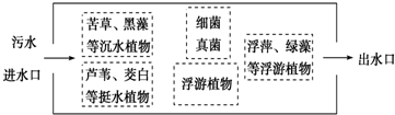 图片_x0020_100024