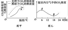 图片_x0020_1598924111