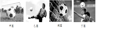 图片_x0020_1287666625