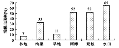 图片_x0020_100016