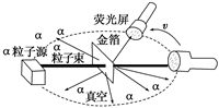 图片_x0020_100001
