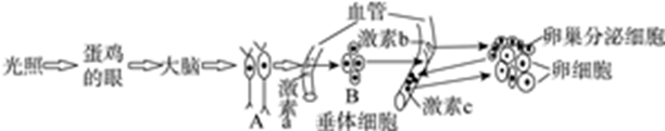 图片_x0020_100003
