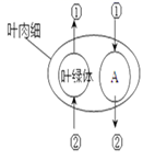 图片_x0020_100013