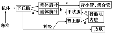 图片_x0020_100001