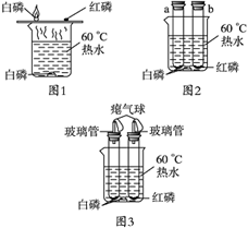 图片_x0020_100017