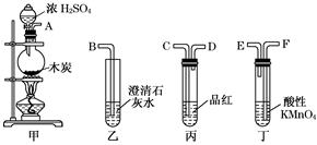 图片_x0020_859983179