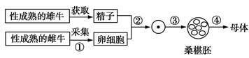 图片_x0020_1187904203
