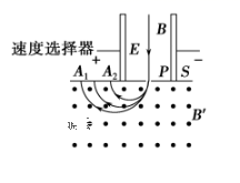 图片_x0020_100014