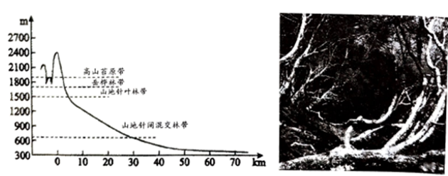 图片_x0020_100007