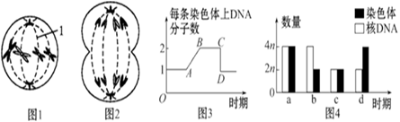 图片_x0020_1589927751