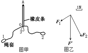 图片_x0020_1878545371