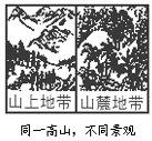 图片_x0020_100006