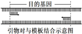 图片_x0020_100007