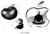 _x0000_i1025