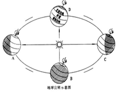 图片_x0020_100024