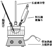 图片_x0020_100039