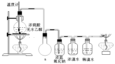 图片_x0020_100022