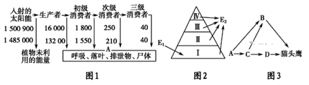 图片_x0020_100015