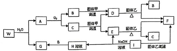 图片_x0020_1594527212