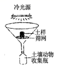 图片_x0020_100010