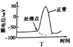 图片_x0020_100004