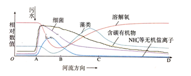 图片_x0020_100010