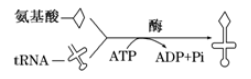 图片_x0020_112125693