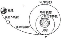 图片_x0020_100006