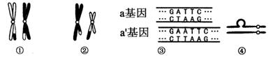 图片_x0020_311664175
