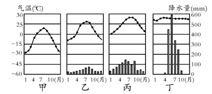图片_x0020_100003
