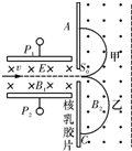 图片_x0020_69035793