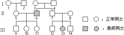 图片_x0020_434024017