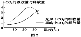 图片_x0020_100006