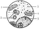 图片_x0020_100001