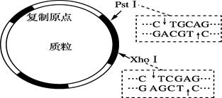 图片_x0020_100025