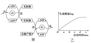 图片_x0020_354995625