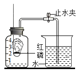 图片_x0020_498044495