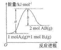 图片_x0020_1293625843
