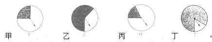 图片_x0020_221249933