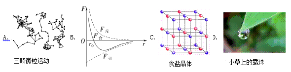 图片_x0020_404275961