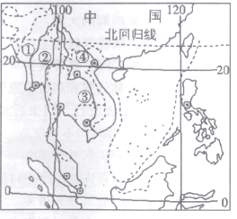 图片_x0020_0