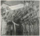 图片_x0020_100005