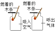 图片_x0020_1384532988