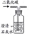 图片_x0020_799185750