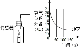 图片_x0020_100018
