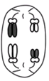 图片_x0020_100010