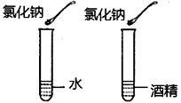 图片_x0020_100025
