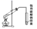图片_x0020_1453774764
